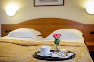 Отель Alka Hotel Паланга Улучшенный двухместный номер с 1 кроватью и посещением спа-салона-1